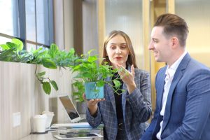 espaces-de-travail-vegetalises-plantes