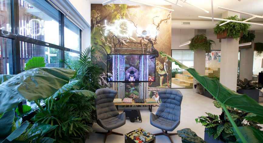 Image-slider-tendance-Jungle