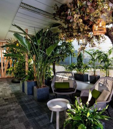 Image1-tendance-jungle